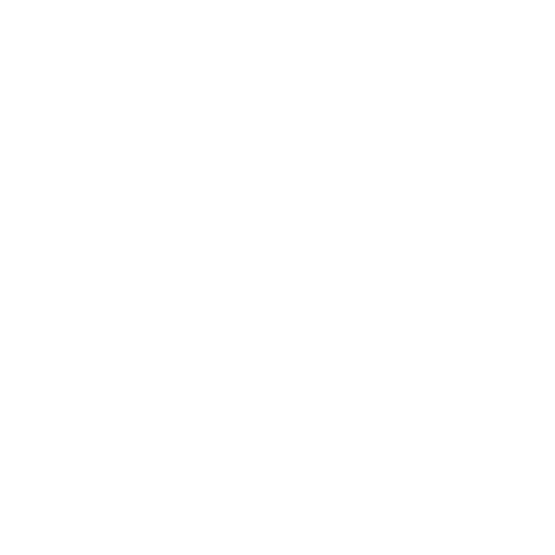 accessibilita icon about bianco