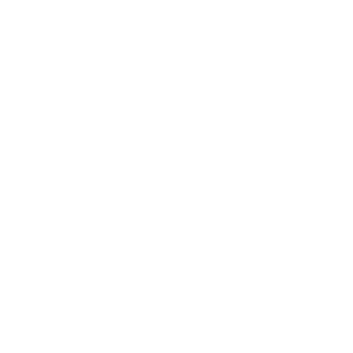 eccellenza icon about bianco