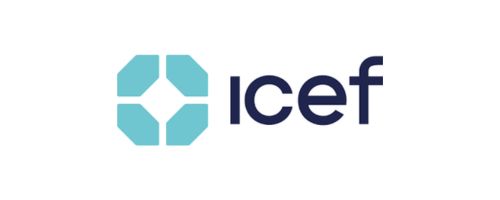 logo icef partner msa